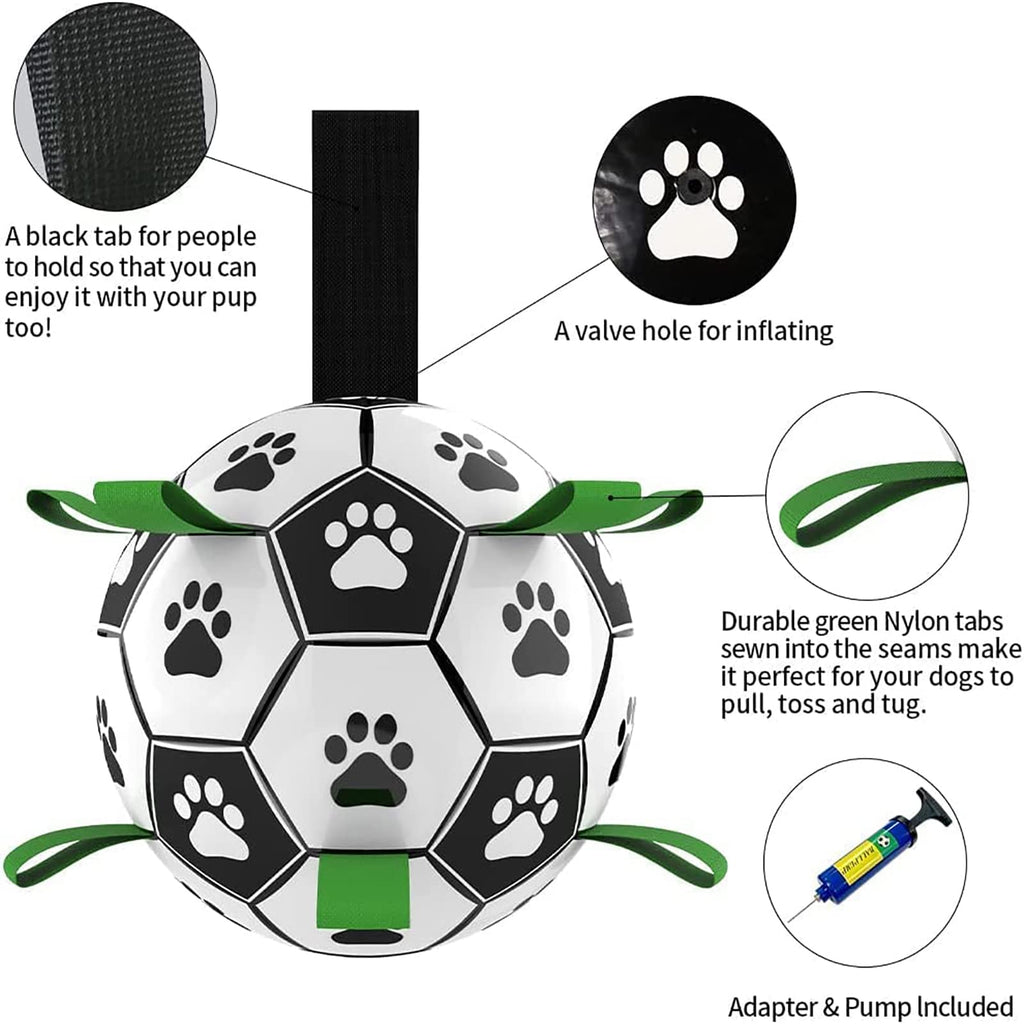 Interactive Dog Toy