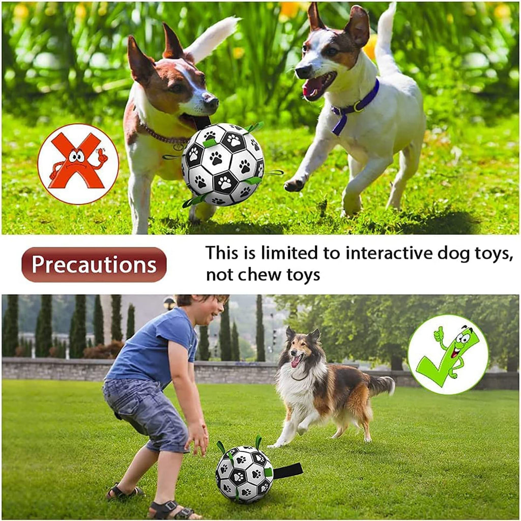 Interactive Dog Toy